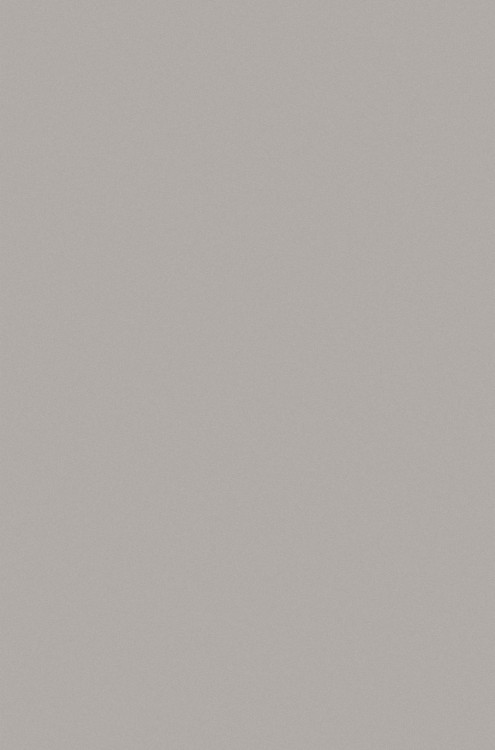 P000 - GRAY Ковер P000 - GRAY - Прямоугольник - коллекция SILVER