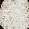 O1700 - 665 CREAM / VIZON