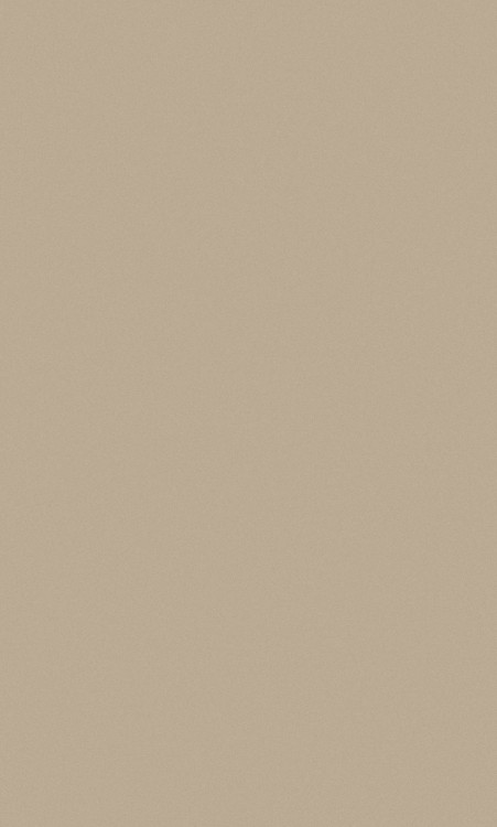 Ковер P000 - BEIGE - Прямоугольник - коллекция TORNADO