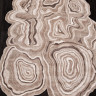 00841A - BROWN / BROWN