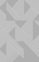 Ковер F660 - GRAY - Прямоугольник - коллекция BRIZ