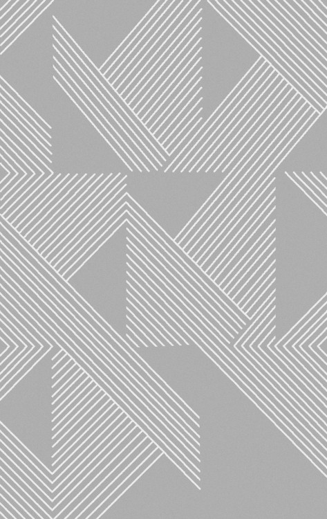 F660 - GRAY Ковер F660 - GRAY - Прямоугольник - коллекция BRIZ