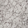 F389 - GRAY