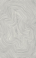 Ковер F663 - GRAY - Прямоугольник - коллекция BRIZ