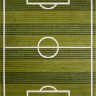 SV21 - GREEN